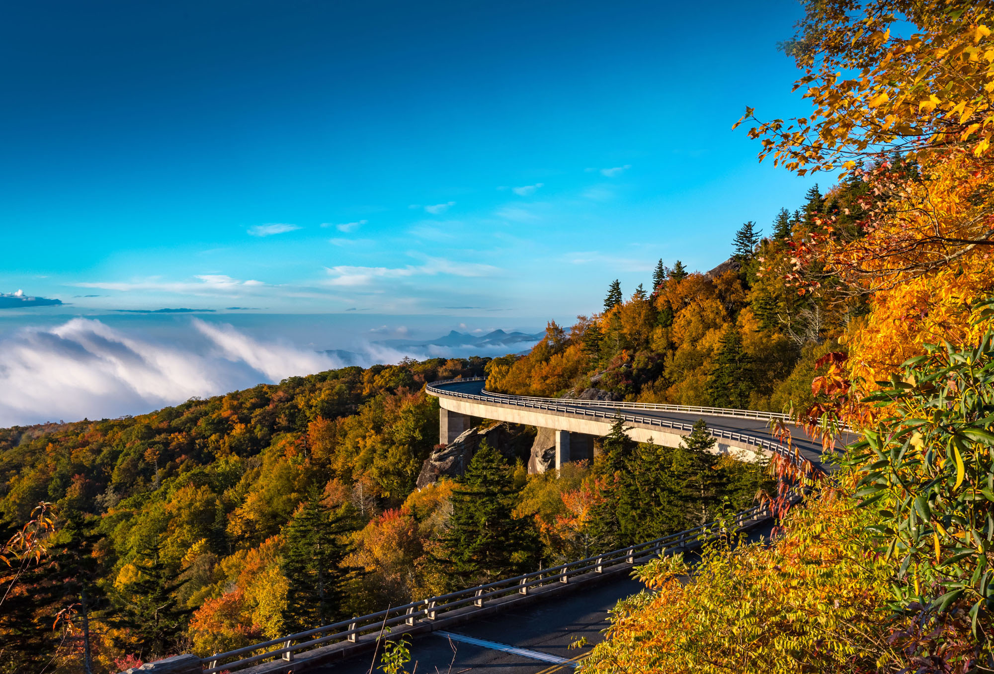 A view overlooking trees, a road and a valley in western North Carolina in the fall.