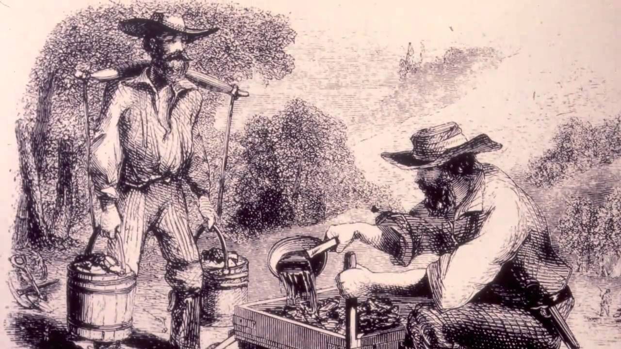 An old-timey illustration of John Reed panning for gold.