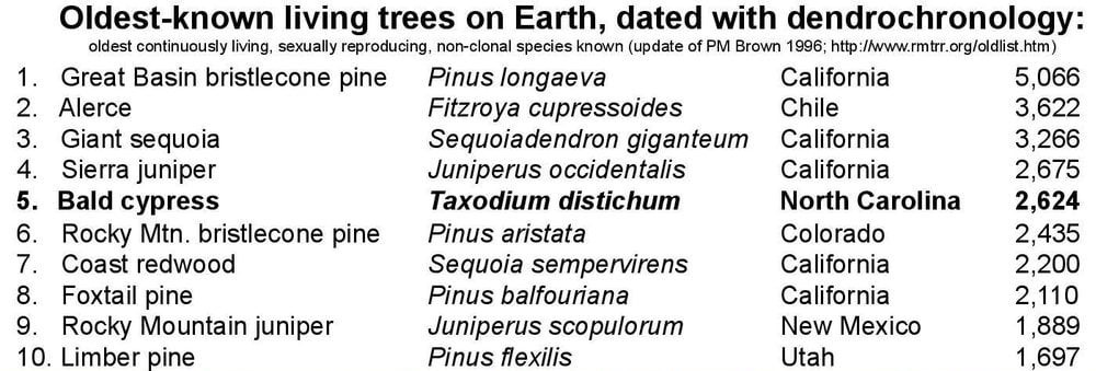 A list of the oldest-known living trees on Earth.